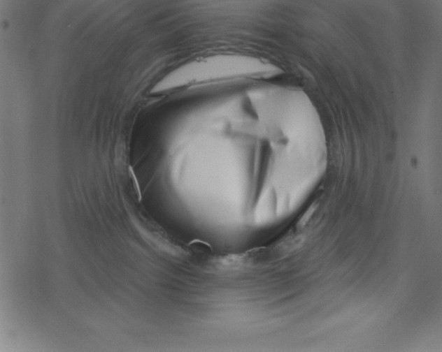 X0000078250092200612011640