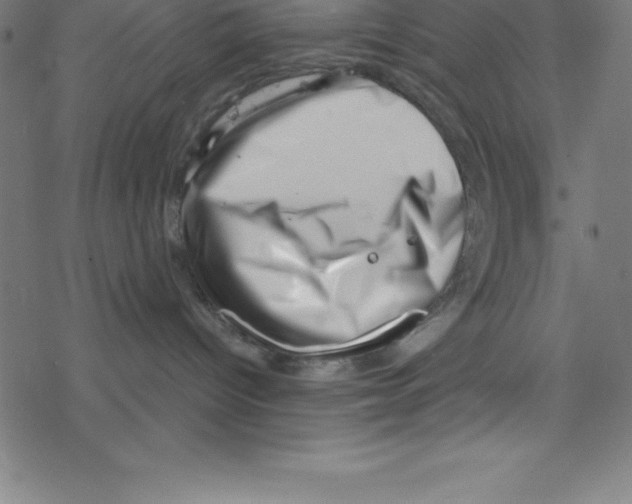 X0000078250096200612011640