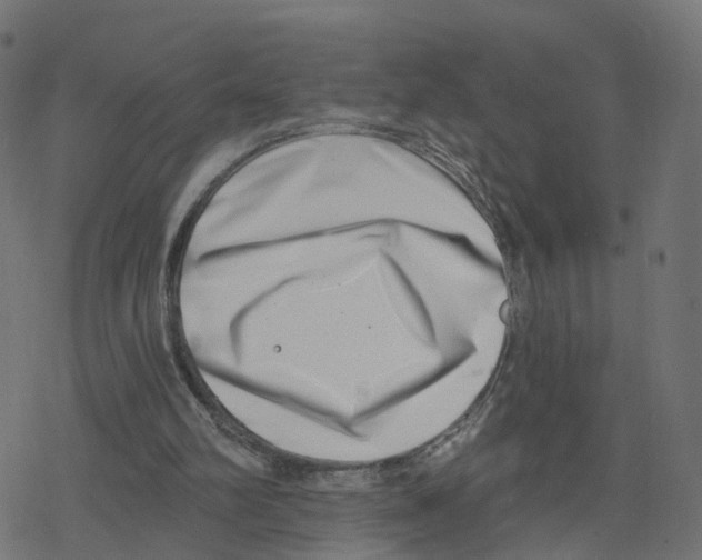 X0000078250102200612011639