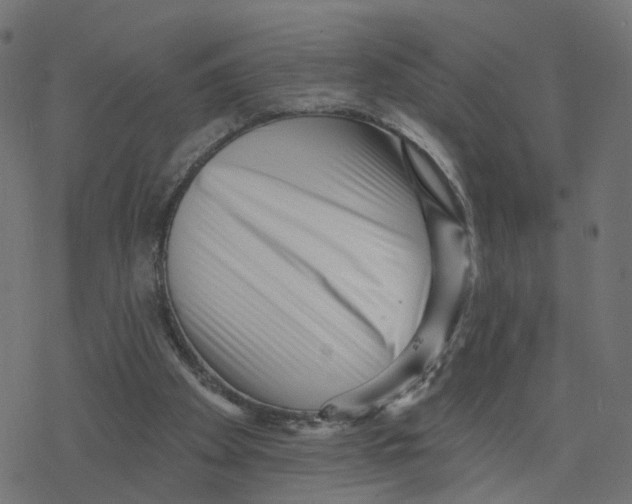 X0000078250105200612011639