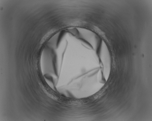 X0000078250106200612011639