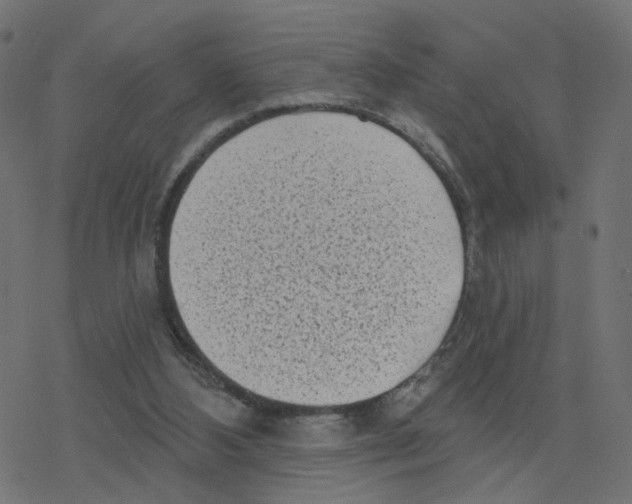 X0000078250108200612011639