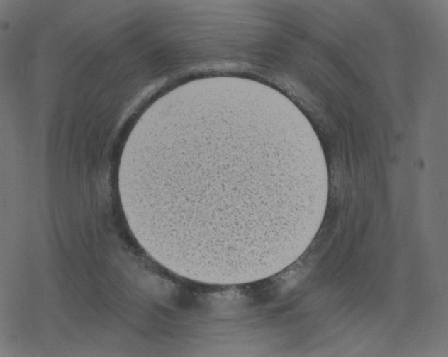 X0000078250112200612011639