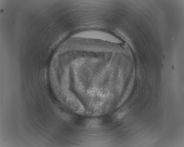 X0000078250115200612011639