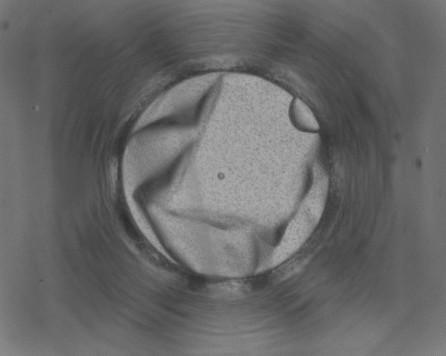 X0000078250118200612011639