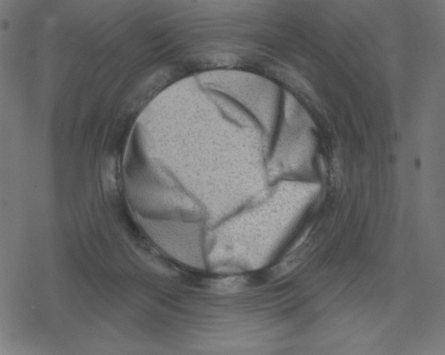 X0000078250122200612011639