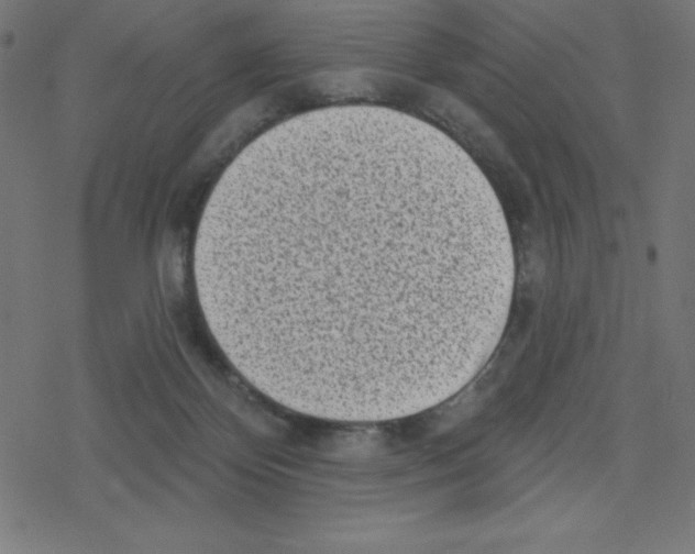 X0000078250124200612011639