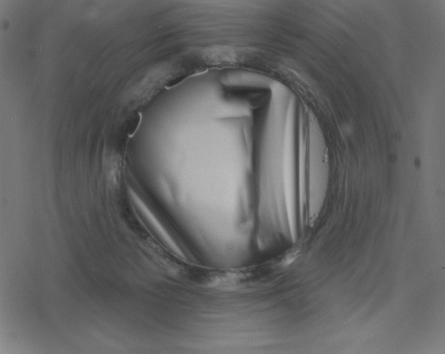 X0000078250125200612011639