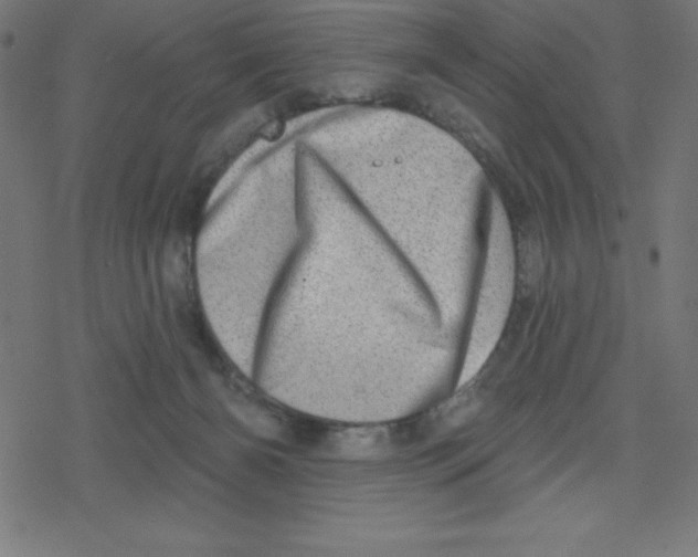 X0000078250126200612011639