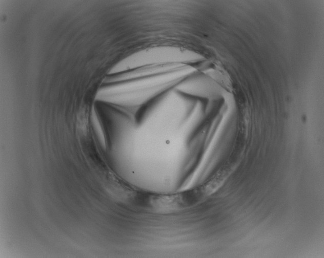 X0000078250129200612011639
