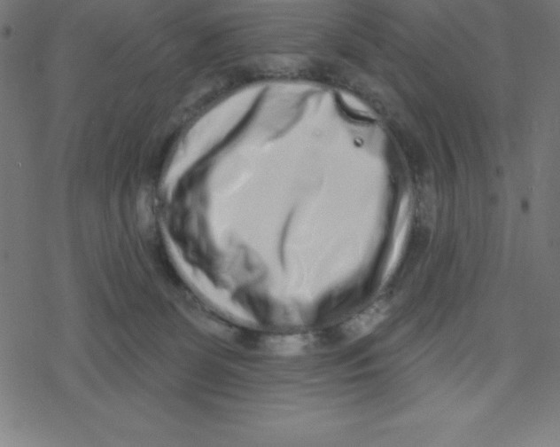 X0000078250131200612011639