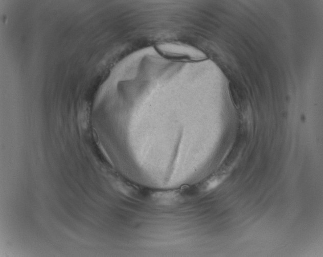 X0000078250133200612011639