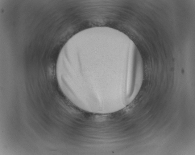 X0000078250134200612011639