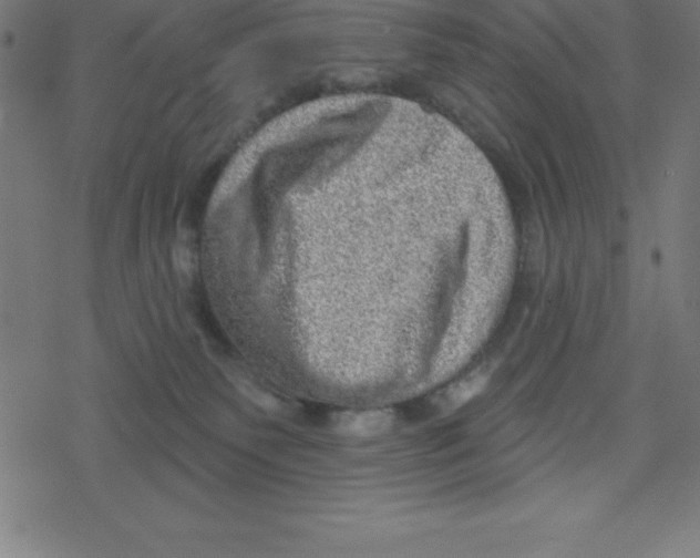 X0000078250135200612011639