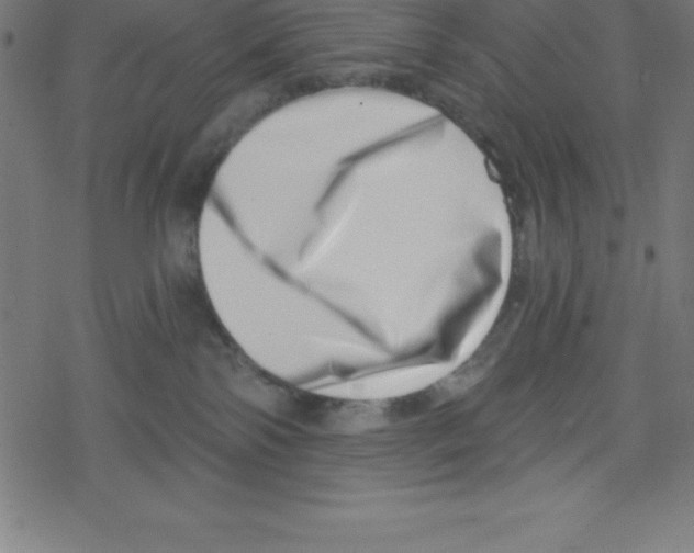X0000078250138200612011639