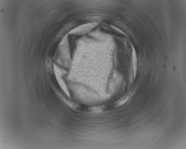 X0000078250141200612011639