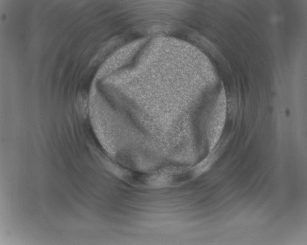 X0000078250142200612011639