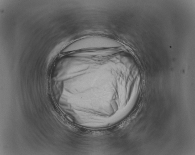 X0000078250149200612011638