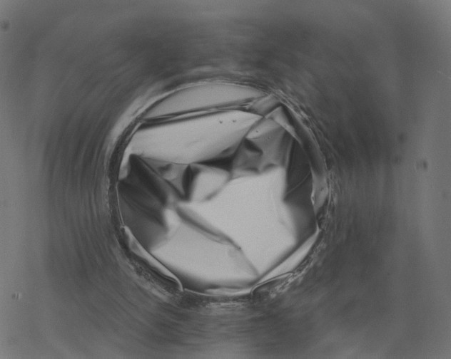 X0000078250150200612011638