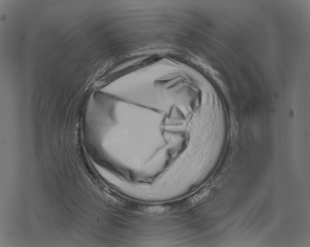 X0000078250153200612011638