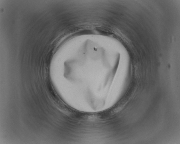 X0000078250165200612011638