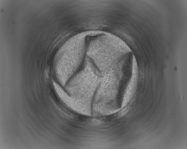X0000078250166200612011638