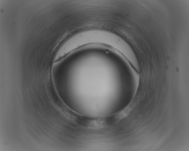 X0000078250168200612011638