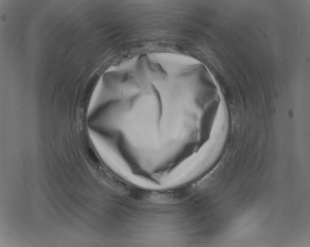 X0000078250171200612011638