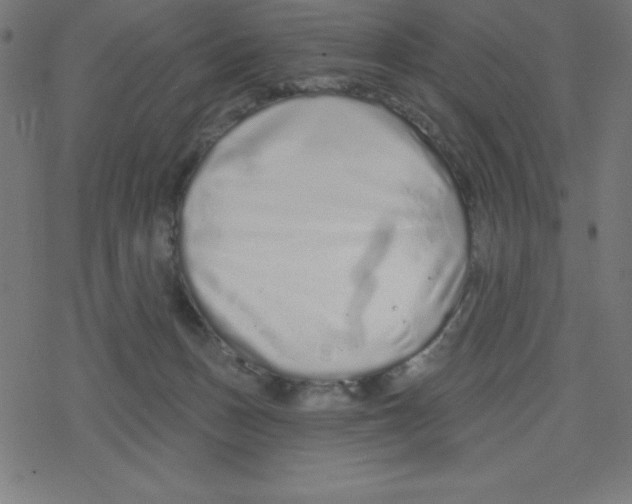 X0000078250175200612011638