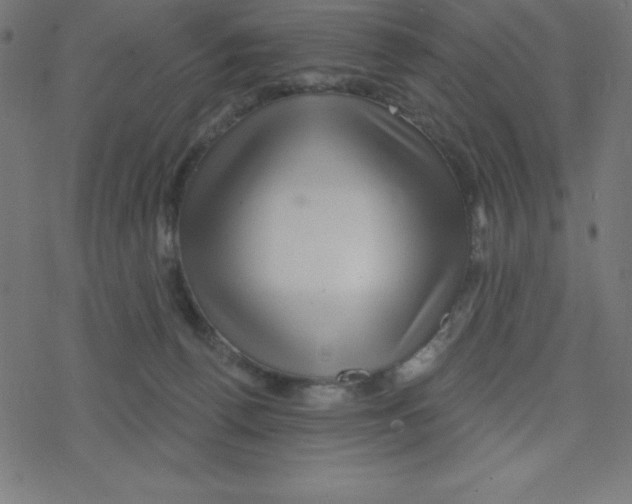 X0000078250176200612011638
