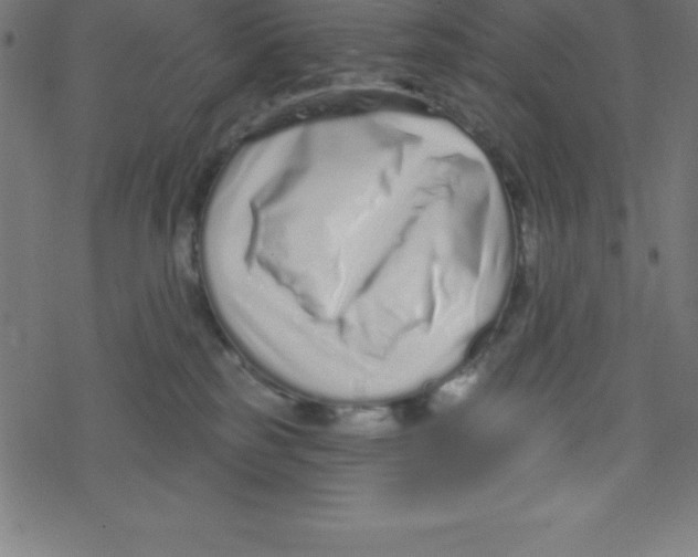 X0000078250185200612011639