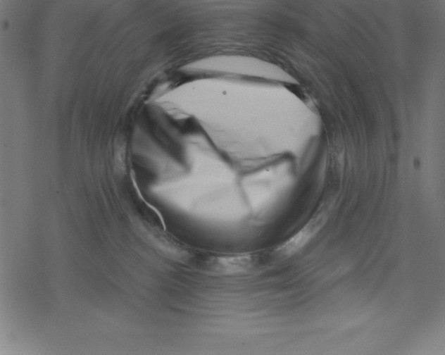 X0000078250188200612011639