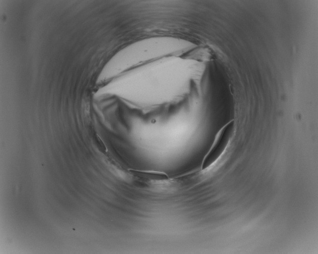 X0000078250192200612011639