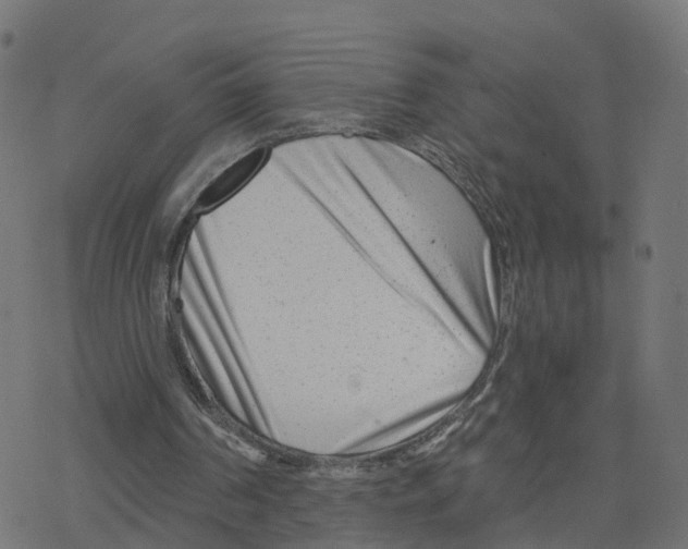 X0000078250194200612011638
