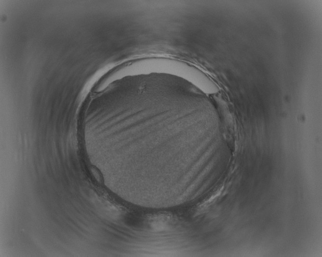 X0000078250200200612011638