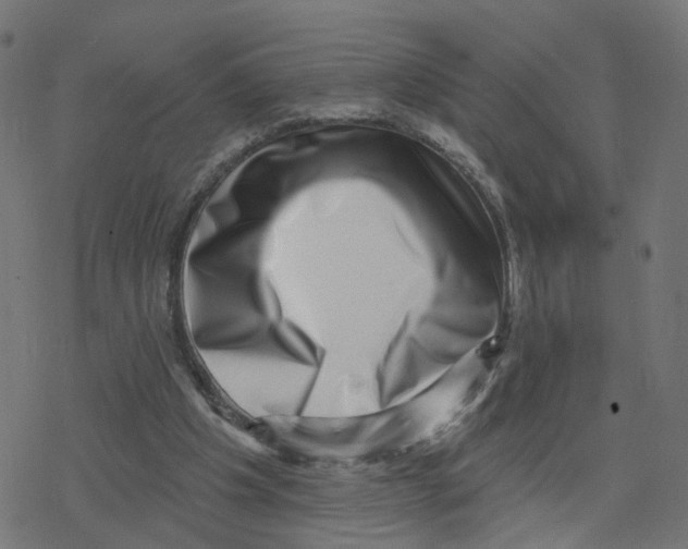 X0000078250201200612011638