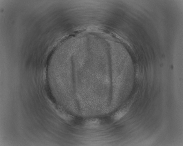 X0000078250206200612011638