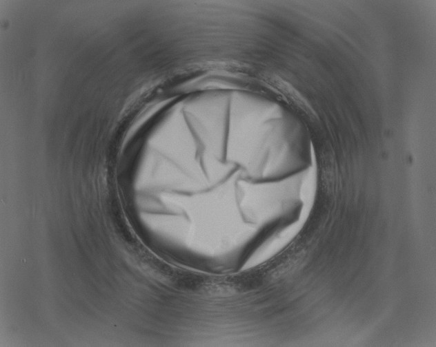 X0000078250207200612011638
