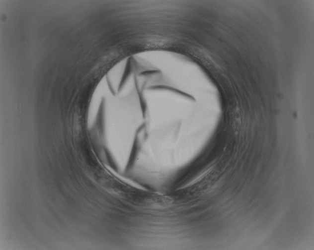 X0000078250215200612011638