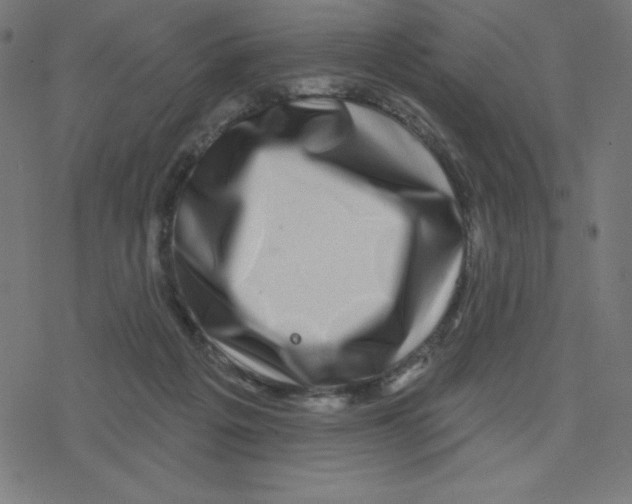 X0000078250217200612011638
