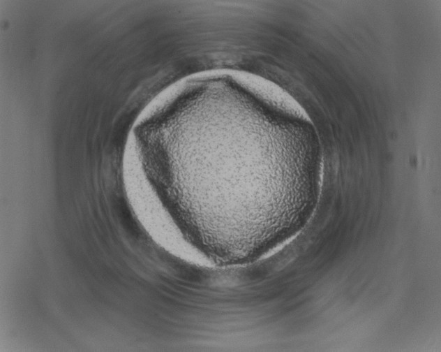 X0000078250218200612011638
