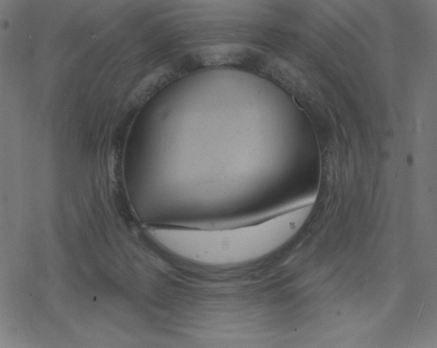 X0000078250219200612011637