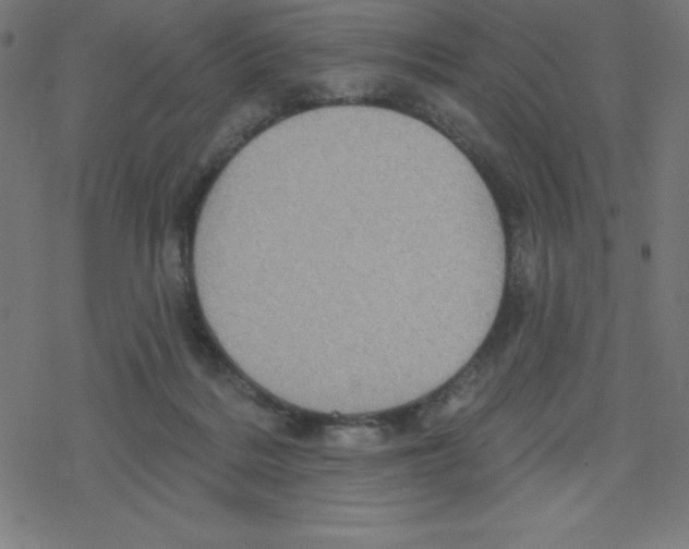 X0000078250220200612011637