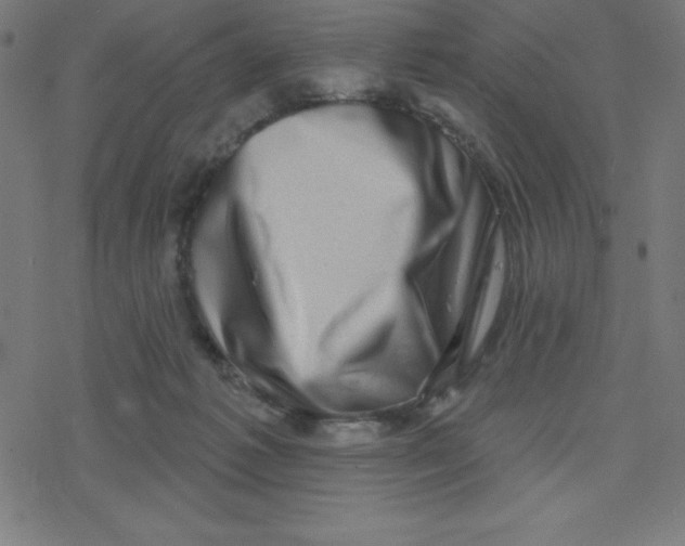 X0000078250221200612011637