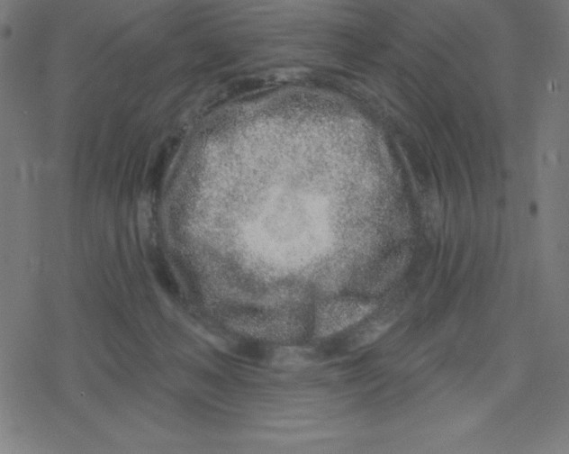 X0000078250222200612011637