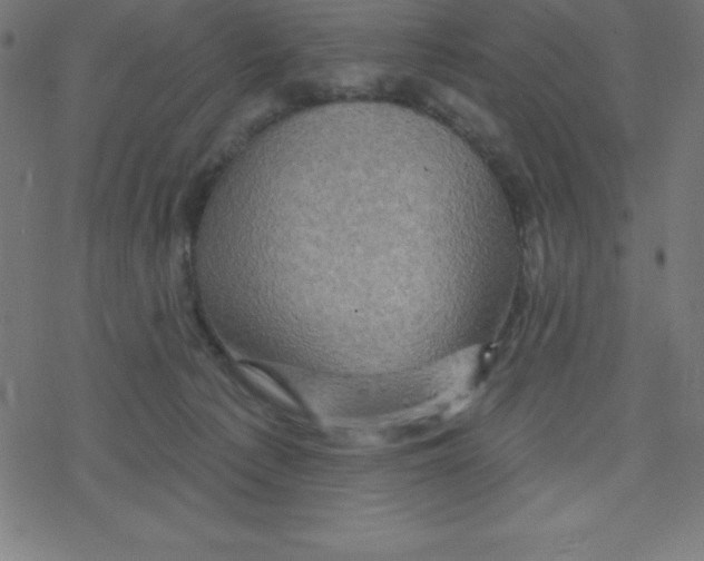 X0000078250225200612011637