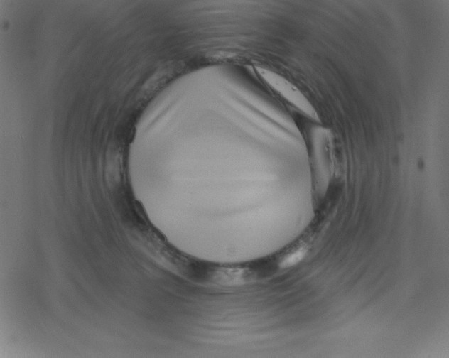 X0000078250227200612011637