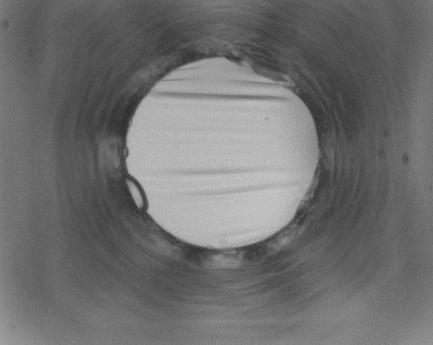 X0000078250232200612011637