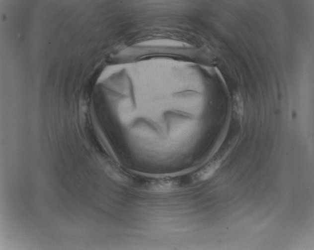 X0000078250235200612011637