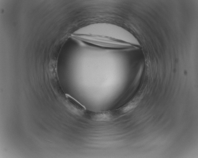 X0000078250237200612011637